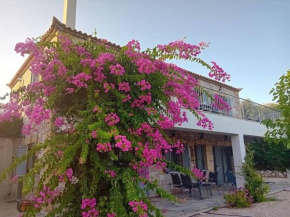 Sofia's summer house